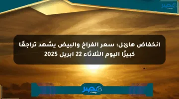 انخفاض هائل: سعر الفراخ والبيض يشهد تراجعًا كبيرًا اليوم الثلاثاء 22 أبريل 2025